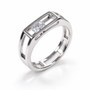 <tc>Horizont-Ring — ein freier Glanz in Bewegung</tc>