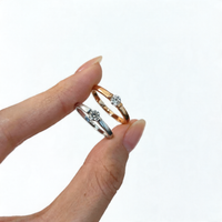 <tc>Ring Glanzpunkt – Schönheit in der Schwebe</tc>