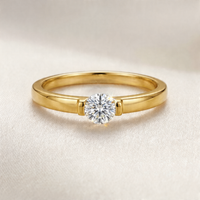 <tc>Ring Glanzpunkt – Schönheit in der Schwebe</tc>